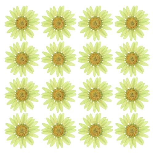 PATIKIL 48 Pcs Dried Pressed Flower Natural Dried Daisy Flower for DIY Art Crafts House Decoration Nails Decoration,Soft Green - color: Soft Green
