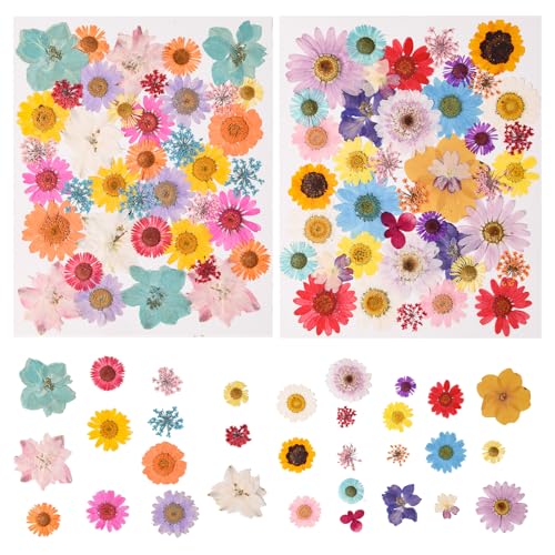 80PCS Multicolor Pressed Dried Flowers Dry Leaves | With Tweezers, Real Pressed Flowers, For DIY Crafts, Resin Jewelry, Cards, For Soap, CandleMaking, Nail Art, For Scrapbooking - color: Multi Color