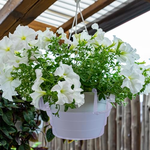 Adnee 15 Pcs 6 Inch Hanging Plant Water Catcher-Clear Plastics Plant Water Catcher Tray-Hanging Plant Saucers Drip Pans for Indoor Outdoor Hanging Basket Flower Pot - color: 6 Inch-15 Pcs
