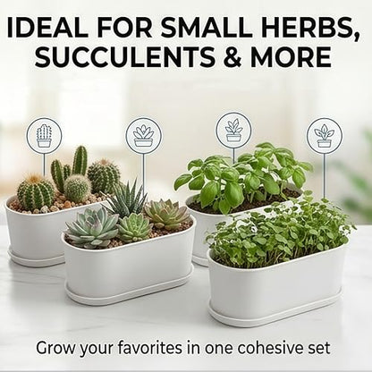 Rectangular Planter Box