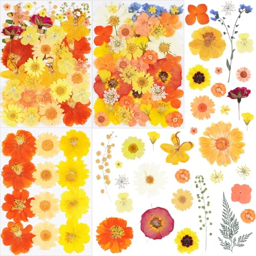 96Pcs Fall Dried Pressed Flowers for Crafts,Xinxinran Orange Dry Flowers Kit for Resin Molds,Epoxy Resin Accessories,Bookmark,Nails, Jewelry Molds,Candle Making Supplies,Soap,Frame,Cakes - color: Fall Color 96pcs