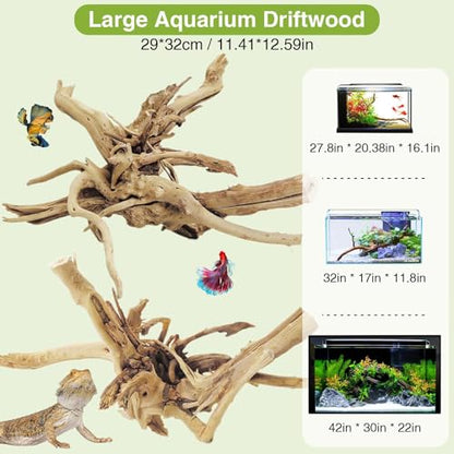 Tfwadmx Natural Driftwood for Aquarium, 11-13 inch Reptile Branches Terrarium Wood Aquarium Trunk Driftwood Tree Fish Tank Log Decoration Pack of 2 - size: Spiderwood（7-13 inch pack of 2）