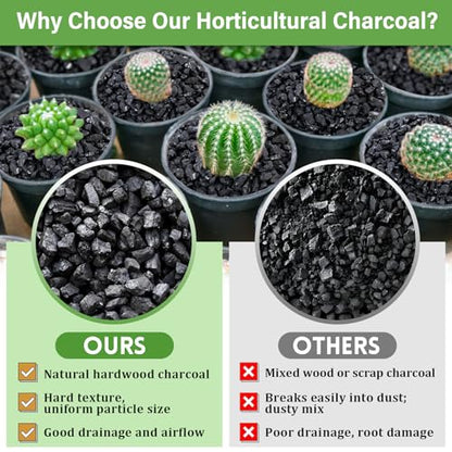 2 QT Horticultural Charcoal & 4 Pack Organic Coco Coir Bricks- Soil Amendment Plant Potting Mix, Ideal for Orchids, Succulents, Terrariums, Indoor & Outdoor Gardening