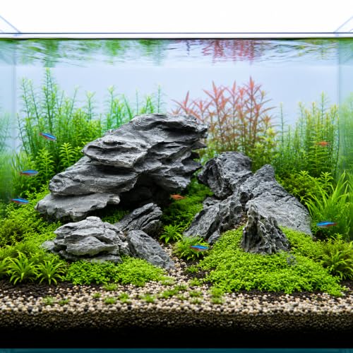 Seiryu Stone Aquarium Rocks for Fish Tank,10LB 3-7inches | Natural Stone for aquarium hardscape, aquascaping, terrariums, bonsai, and potted plants - size: 10lb,3-7inches