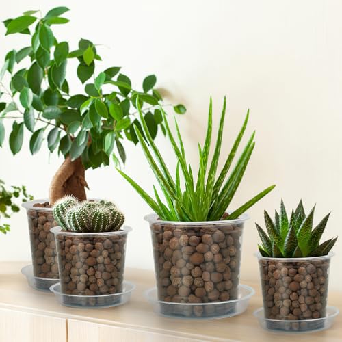 FUIJOL 6 Pack Clear Plant Saucer, Durable Plant Drip Trays Saucers for Pots, No Holes Water Catcher Trays for Indoor Outdoor Planter, Sturdy Base Plate(6", Clear) - size: 6"-6Pack