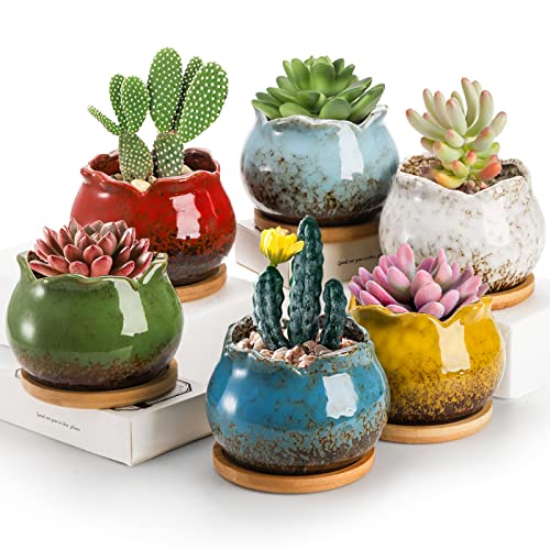 TOPZEA Set of 6 Succulent Plant Pots, 4 Inch Glazed Ceramic Pots with Drainage and Saucer, Mini Bonsai Planter Small Flower Pots for Indoor Outdoor Use - size: Overall:4"(Diameter)x 3"(H)