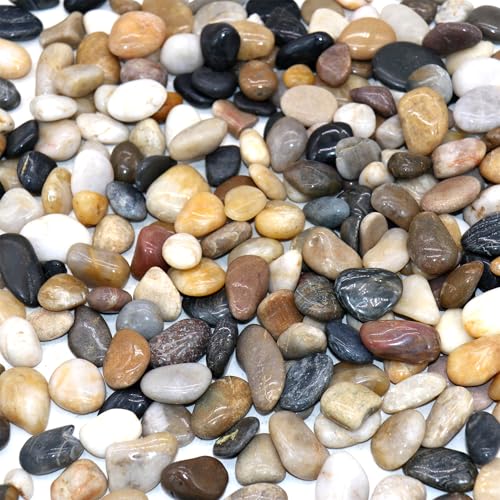 Mixed Color Polished Rocks for Plants, Decorative Pebbles, 0.5-1 Inch, 18lb - color: MIXED COLOR - POLISHED, size: SM (0.5 to 1 Inch)