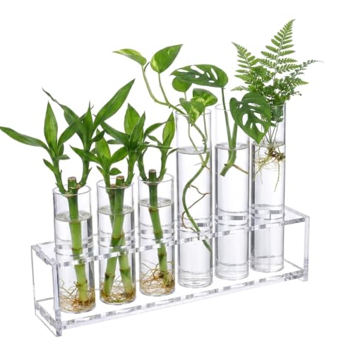 Plant Propagation Station, 6-Tube Test Tube Vases Decorative