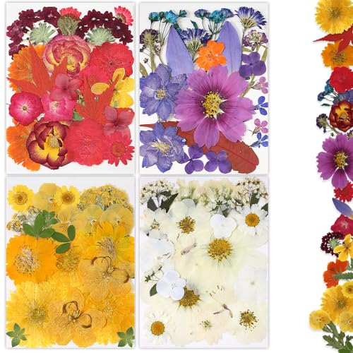 Dried Pressed Flowers, 80Pcs Real Natural Pressed Flowers for Resin Nail Art Scrapbooking Candle Jewelry Making Real Bulk Dried Pressed Flowers Resin DIY Crafts Supplies Kit (Multi Color-5) - color: Multi Color-5