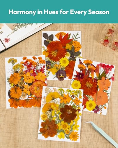 Dried Flowers, Resiners 100Pcs Pressed Flowers for Craft Real Natural Dried Flowers Dry Leaves Kit for DIY Making Crafts Resin Soap Candle Scrapbook Supplies Card Making Jewelry - color: Fall Color 100pcs