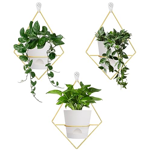Koalaime 3 Sets Wall Planters for Indoor Plants Geometric Hanging Planters for Indoor Plants - Self-Watering Flower Pots with Black Metal Holder, Mounted Succulent Planter, 5" Black Plant Pot - color: Gold White