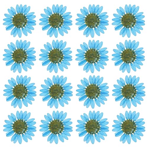 PATIKIL 48 Pcs Dried Pressed Flower Natural Dried Daisy Flower for DIY Art Crafts House Decoration Nails Decoration,Sapphire Blue - color: Sapphire Blue