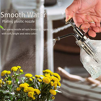 Plant Mister Glass Spray Bottle Small Plant Watering Can 6.4" Tall Retro Indoor Watering Can Bronze Plastic Top Pump for Garden Indoor Plant Sprayer (Transparent) - color: Transparent