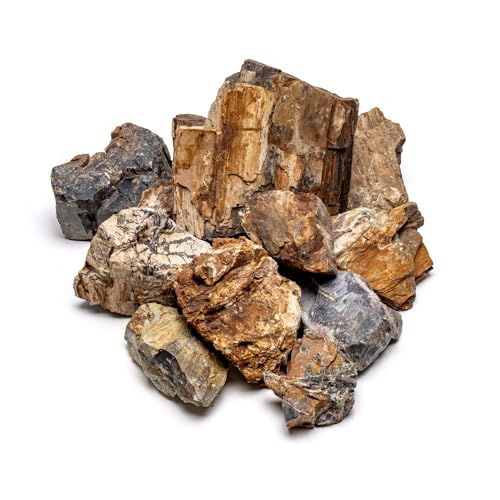 SubstrateSource Natural Stone for Aquarium, Terrarium, Paludarium, Reptile Enclosures - Set of Decorative Rocks for Landcapes, Aquascaping, Fish Tank Decor (Petrified Wood Stone, 30 Pounds, 2-8") - color: Petrified Wood, size: 30 Pounds