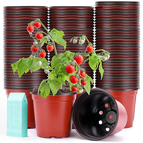 100 Pack Plant Nursery Pots 4 inch Plastic Plant Pots, Soft Durable Reusable Seed Starting Pots for Succulents Plants Vegetables Fruits Seedlings Cuttings Transplanting with 100 Plant Labels - color: Red（100 Pots+100 Labels）