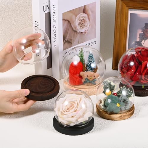 M METERXITY Cloche Glass Dome, D3.9In Ball Jar with Wooden Base for DIY Snow Globes/Small Plants/Flowers/Candles/Models/Souvenirs, Glass Display Case [Wood] - color: Wood, size: D3.9In