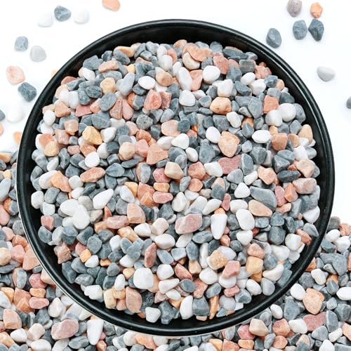 2.2lb Pebbles for Indoor Plants, 3/8" Mixed Color Decorative Rocks - color: Mixed, size: 3/8 Inch 2.2 Lb