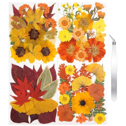 Dried Flowers 68Pcs Fall Pressed Flower with Tweezer for Crafts - size: 68 pcs Fall Dried Flowers