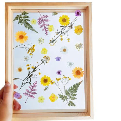 Woohome 110PCS Real Pressed Flowers, Dried Pressed Flowers Colorful Real Pressed Flowers for Resin Nail Art Scrapbooking Candle Jewelry Making Real Dried Pressed Flowers Resin Supplies Kit - color: 1