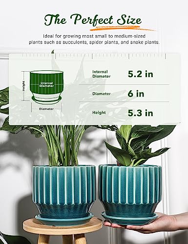 AISBUGUR Plant Pots 6 inch Ceramic Pots for Indoor Plants Set of 2 Flower Pots Unique Crackle Glaze Design Plant Pots with Drainage Hole and Saucer Come with Drainage Nets (Aqua Green) - color: Aqua Green