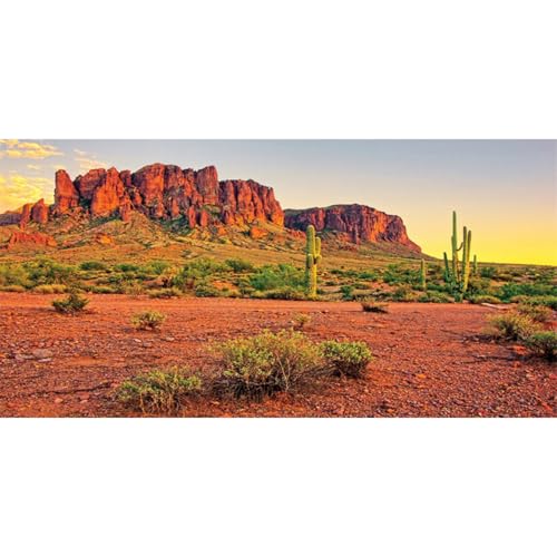 AWERT 72x16 in Terrarium Backdrop Desert Cactus Reptile Habitat Background - size: 72x16in/180x40cm