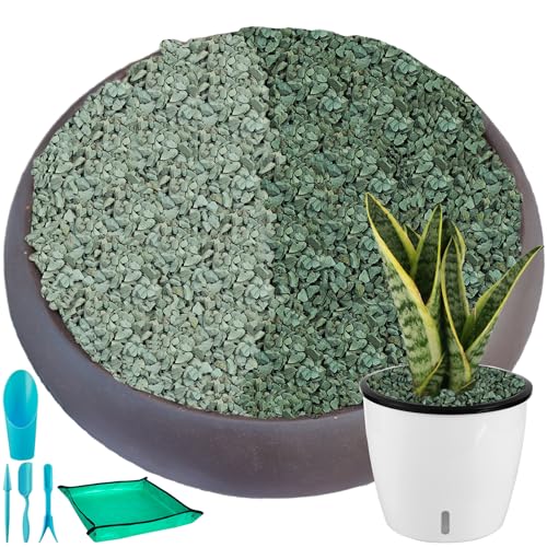 18 lbs Succulent and Cactus Bonsai Pebbles, 4-6mm Decorative Landscaping Stones Natural Garden Gravel Rocks for Indoor Outdoor Plants Aquariums DIY, and Gardening Top Dressing, Green Zeolite - size: 0.15-0.24 inch, style: Green zeolite/ 18 pounds