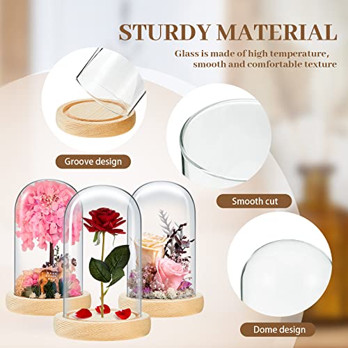 Tessco for you 3 Pcs Glass Cloche Dome Display with Solid Wood Base, L - size: 4.7 x 8 In
