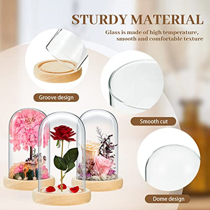Tessco for you 3 Pcs Glass Cloche Dome Display with Solid Wood Base, L - size: 4.7 x 8 In