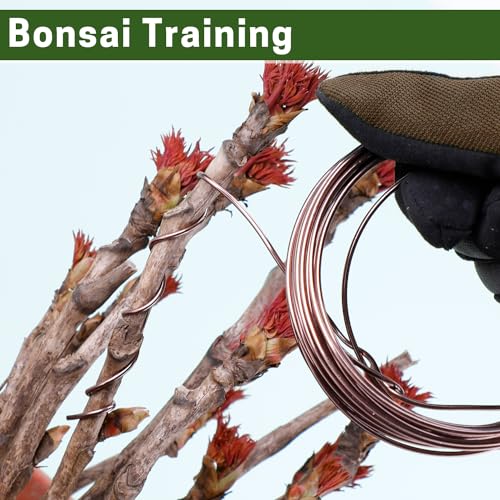 Bonsai Wire Kit 4 Rolls, 64Ft Aluminum Bonsai Training Wire Set | Bonsai Wire Set for Holding Branches 1.0MM, 1.5MM, 2.0MM - color: 16 Ft × (Green+Brown)