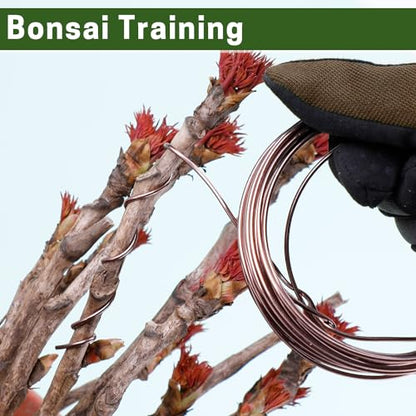 Bonsai Wire Kit 4 Rolls, 64Ft Aluminum Bonsai Training Wire Set | Bonsai Wire Set for Holding Branches 1.0MM, 1.5MM, 2.0MM - color: 16 Ft × (Green+Brown)