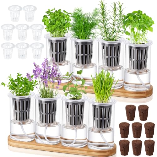 Teenyyou 8 Pcs Hydroponic Herb Planter Growing Kit Self Watering Glass Vase with Wooden Stand Herb Garden Starter Kit for Propagating Hydroponic Plants Centerpiece Office Home Garden Decor