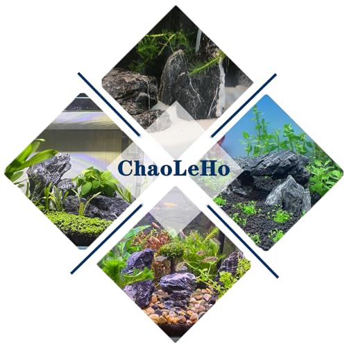 Natural Rocks Seiryu Stones Aquariums Stones for Aquascaping, Aquariums, Terrariums, Vivariums Decorative Stone,Reptile Enclosures,Paludariums,and Gardens-10lb（2 to 7 inch） - size: 10Lb (2-7 inch)