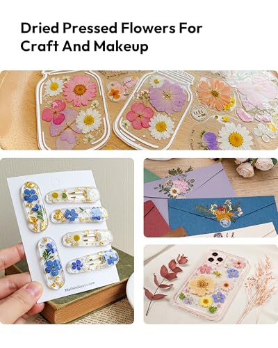 Dried Flowers, Resiners 100Pcs Pressed Flowers for Craft Real Natural Dried Flowers Dry Leaves Kit for DIY Making Crafts Resin Soap Candle Scrapbook Supplies Card Making Jewelry - color: Brilliant 100pcs