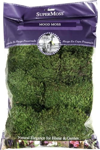 SuperMoss (21539) Mood Moss Preserved, 200 Cubic Inch Bag (Appx. 8oz), Fresh Green (Pack of 10) - color: Fresh Green, size: 8 Ounce (Pack of 10)