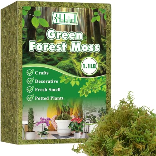 Halatool 1.1LB Green Moss for Indroor Plants, 8QT Orchid Moss for Repotting - size: 17.6 oz
