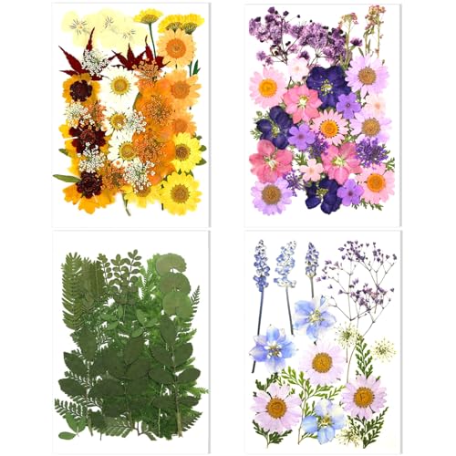 106 Pieces Assorted Real Dried Pressed Flowers Leaves Natural Dry Flower for Resin, Cake Decor,Crafts, Candles, Soap Making, Scrapbook Supplies(Pink,Purple,Yellow,Green)