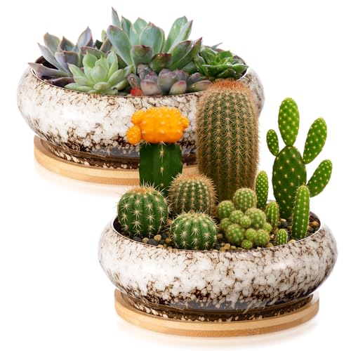 2 Pcs 7.3'' Shallow Succulent Planters Pots, White - color: White, size: 7.3''