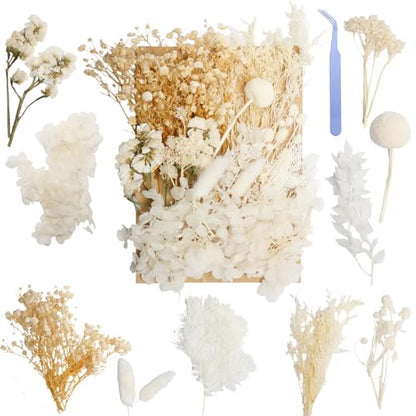Real Dried Flowers for Resin, Natural Pressed Flowers (White) | Natural mixed dried flower pack with tweezers for DIY resin,crafts& candles. - color: White