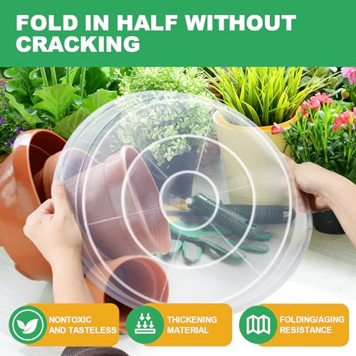 OUPSAUI 3 4 6 8 10 12 14 16 Inch Plant Saucer Pot Tray, 6 Pack Clear Plant Saucers for Indoors and Outdoors, Large Plastic Dish Suacer Water Drip Tray for Potted Plants Flowers (8 Inches) - size: 8 Inches
