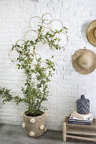 RISEON Boho Vintage DIY 13 PCS Bamboo Wall Trellis Set,Minimalist Plant Display Vertical Garden for Climbing Plants Potted Vines Vegetables Vining Flowers