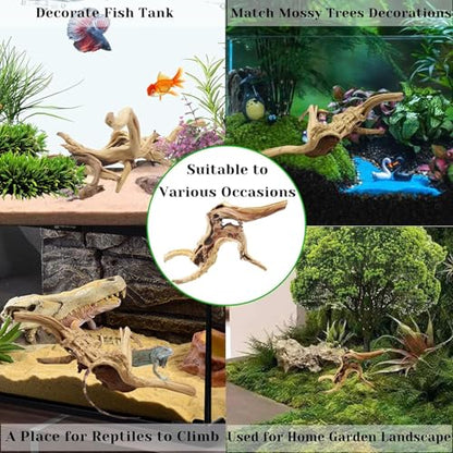 Tfwadmx Natural Driftwood for Aquarium, 11-13 inch Reptile Branches Terrarium Wood Aquarium Trunk Driftwood Tree Fish Tank Log Decoration Pack of 2 - size: Spiderwood（7-13 inch pack of 2）