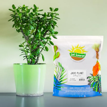 Soil Sunrise Jade Plant Potting Soil Mix (8 Quarts) Hand Blended Additive for Jade Succulents