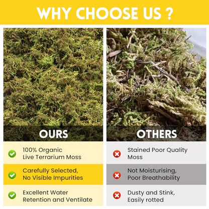 Riare 2.6lb Natural Sphagnum Moss for Reptiles, Terrarium Substrate Bedding | High Expansion, Moisture Retention, Helps Shedding, Long Fibered Dried Moss for Leopard Gecko, Snake, Frog, Turtle - color: 2.6 LB