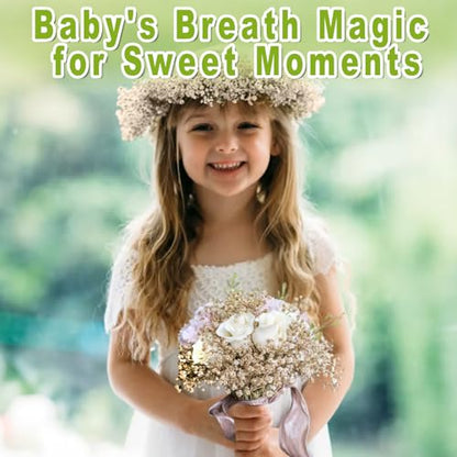 2500+ Mini Dried Babys Breath Flowers, 75 Pcs Ivory White Baby Breath Flowers, Natural Dried Gypsophila Bouquets for Rustic Wedding Decor, DIY Crafts, Gift Wrapping, Vase Arrangement - size: 6 inch