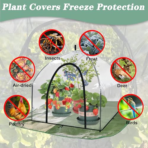 36" Tabletop Plant Cover w/Waterproof Base Ventilation Window for Winter - color: 36*36*35.5 - 2PCS