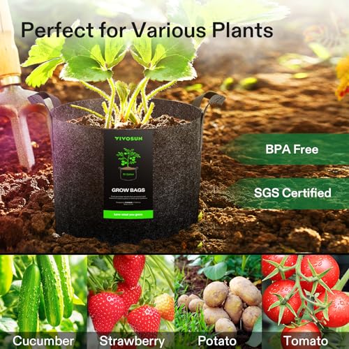 VIVOSUN 5-Pack 10 Gallon Plant Grow Bags Fabric Pots with Handles | 300G Thickened Nonwoven Fabric, Excellent Drainage, Healthy Root Growth, BPA-Free, Reusable - color: Black, size: 10 Gallons