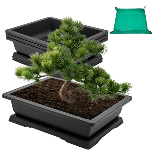 GROWNEER 3 Packs 18 Inch Large Bonsai Training Pots with Drainage Trays - size: 3pcs/18x14in