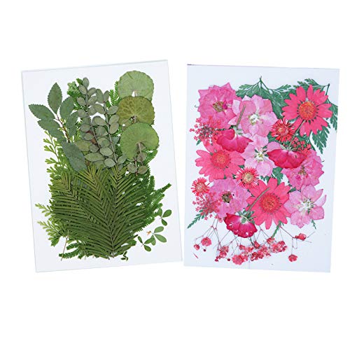 Real Dried Pressed Flowers 48 pcs Mixed Multiple Real Dried Flowers Leaves for Making Art Floral Decors DIY Candle Resin Jewelry Nail Pendant Crafts
