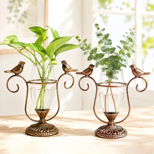 2 Pack Desktop Plant Propagation Terrarium with Metal Stand | Air plants water plants terrarium, unique gardening birthday gifts for plants lovers, office room kitchen living room decor - color: Bird, size: 7.1"×6.6"