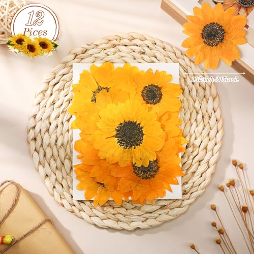 Roowest 12 Pcs Dried Pressed Flowers for Resin Natural Sunflower Real Petals for Jewelry Candle Soap Making DIY Art Craft Scrapbooking Supplies (1.97-3.15 Inches) - size: 1.97-3.15 Inches